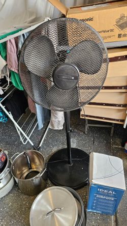 Fan