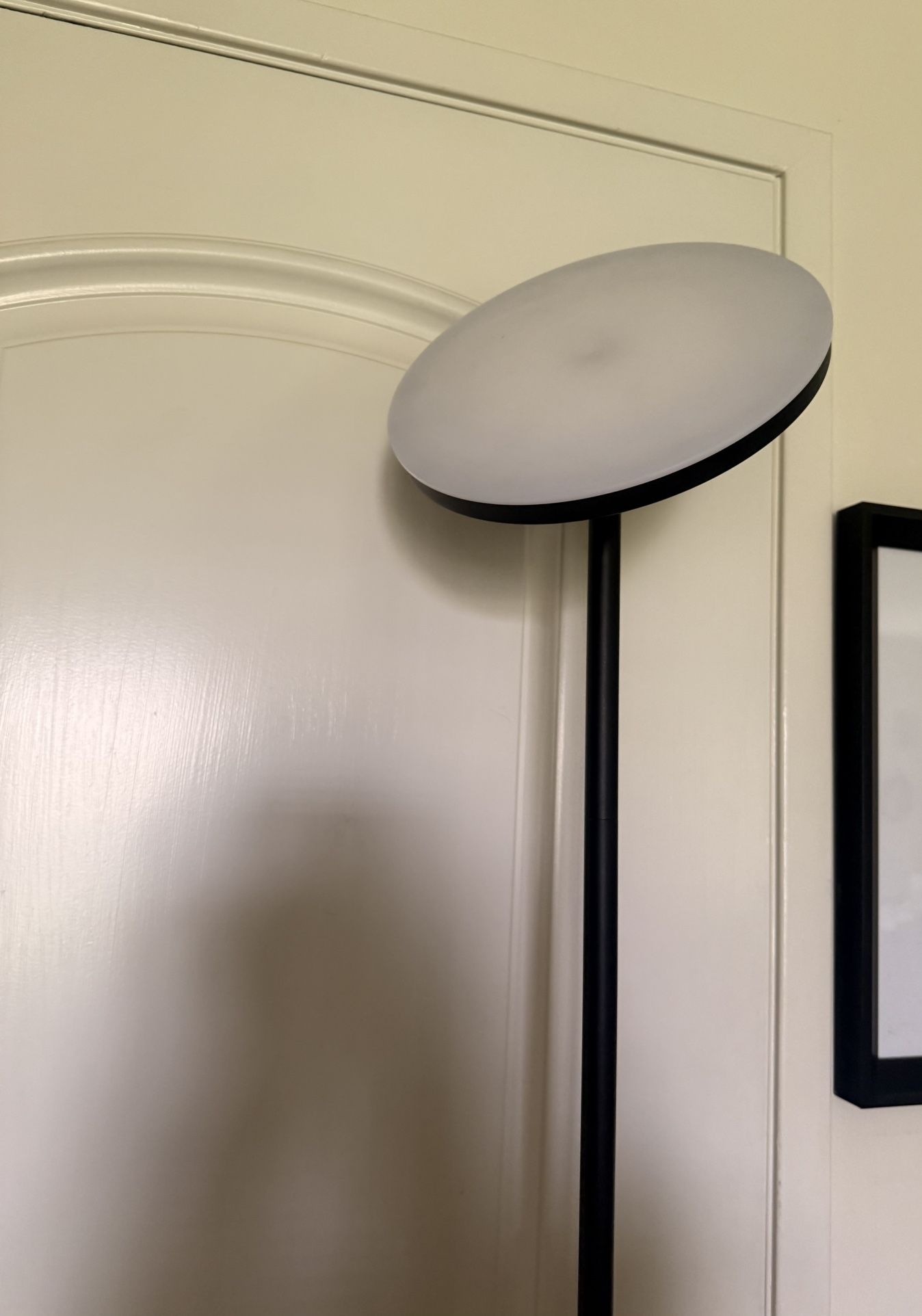 Dimmable Flor Lamp W/Remote