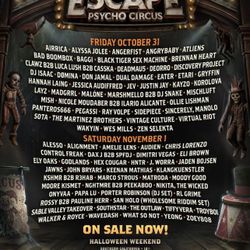 ESCAPE 2 DAY GA TICKET
