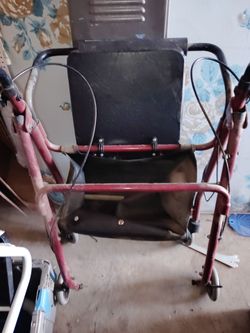 Adult Walker