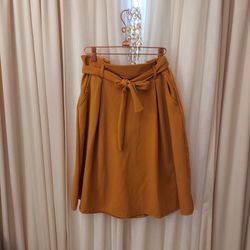Mustard Yellow Skirt (Fall/Thanksgiving) 