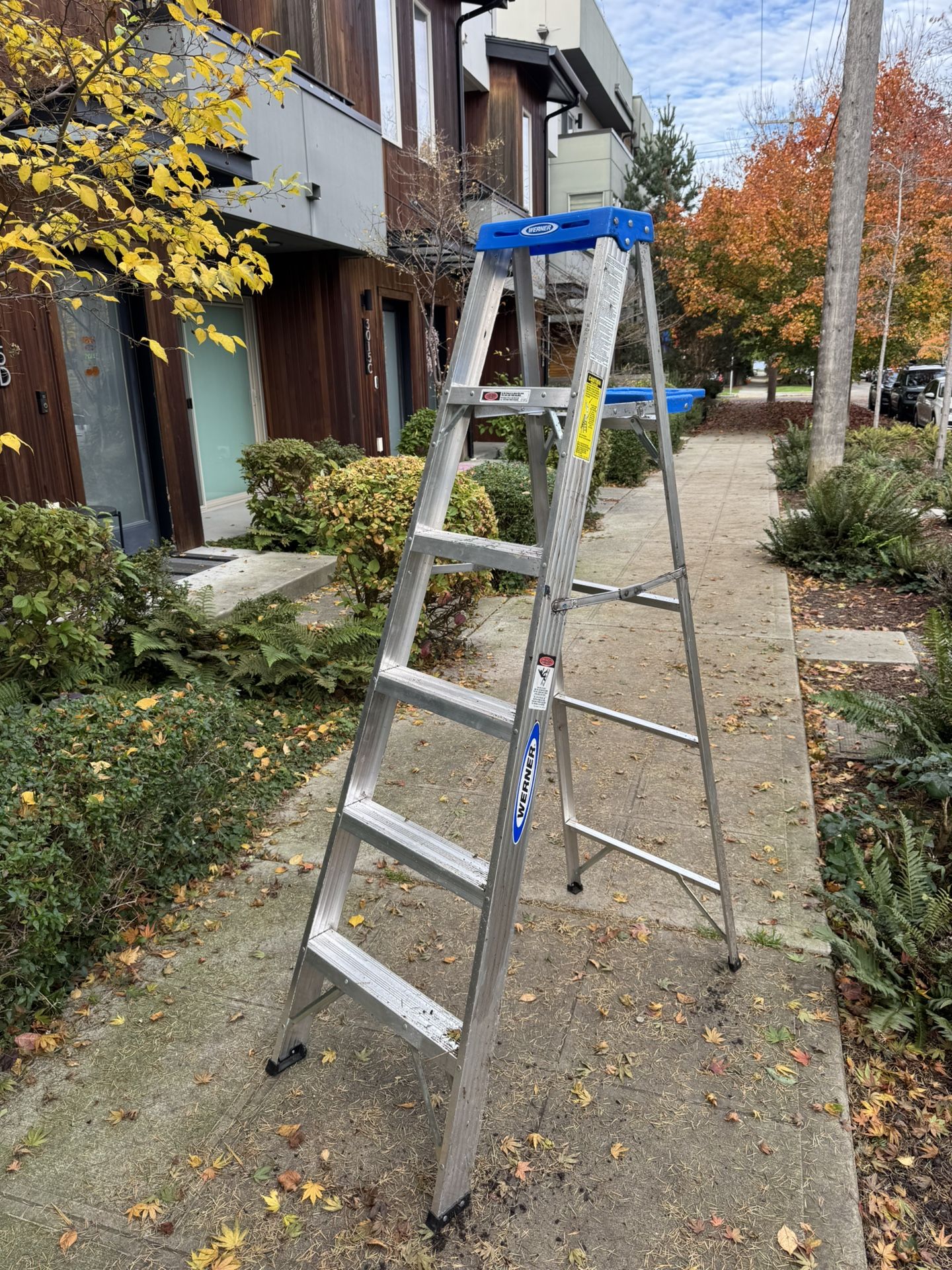 Werner Ladder 6’