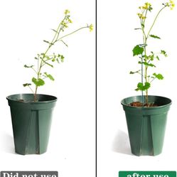 8 PCs Plants  Support Stakes 8 Or 16 Inches.