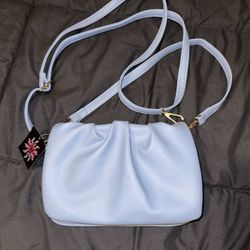 Blue Purse 