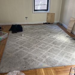 Large Carpet - Will Benefit From Cleaning  