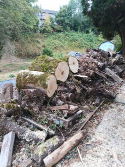 Free fire wood