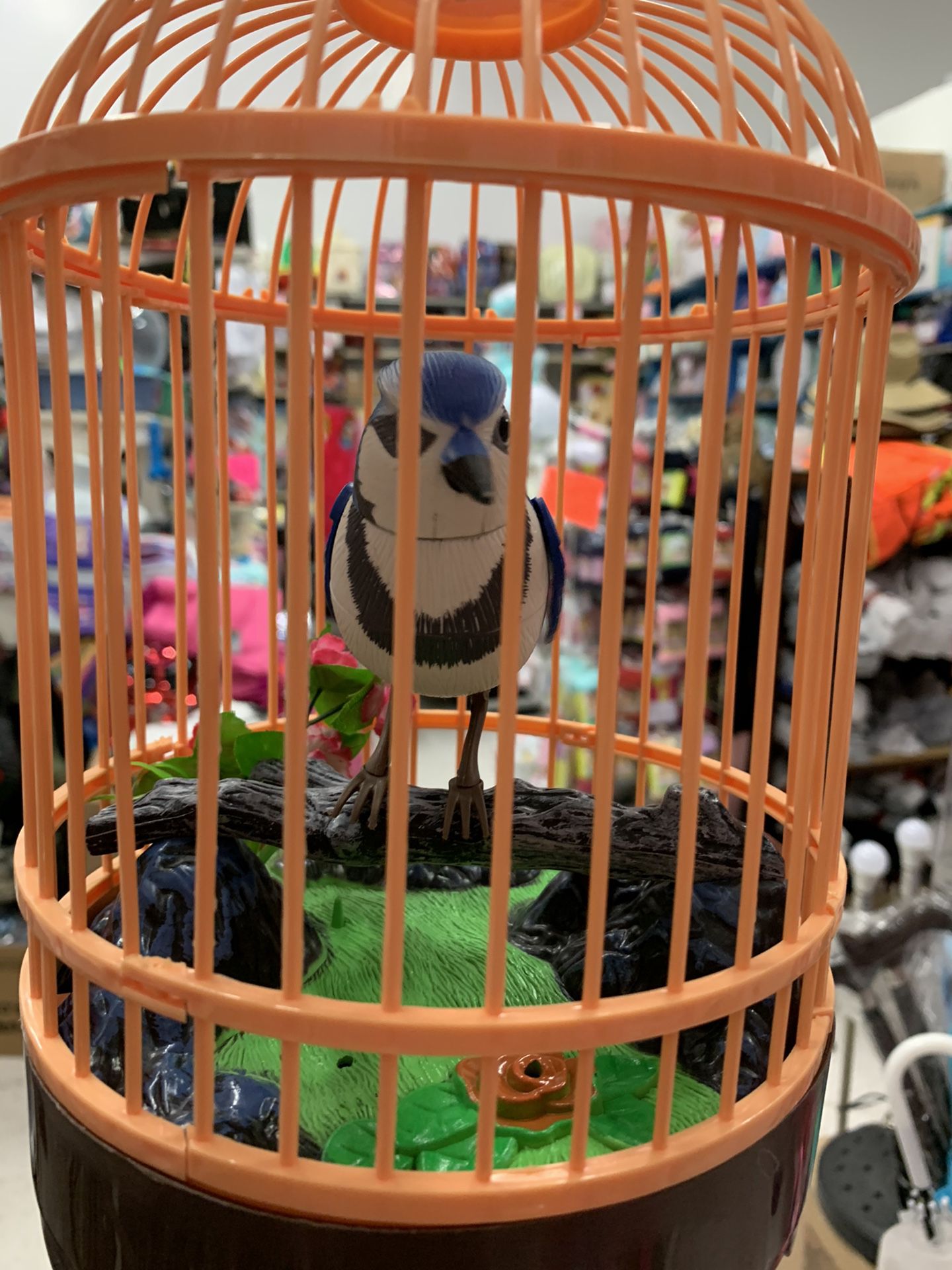 NEW Bird Cage