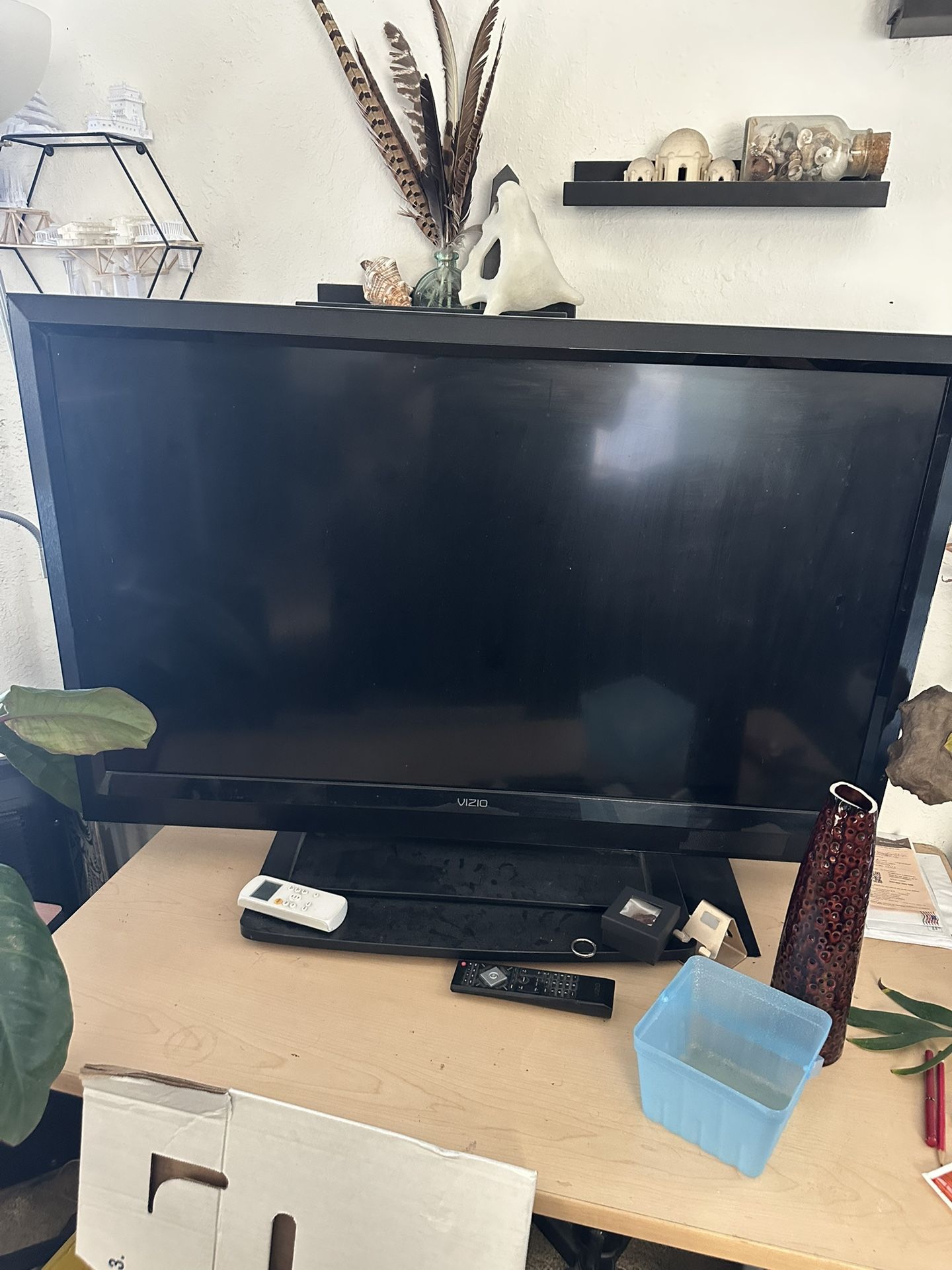 48 Inch Vizio Tv