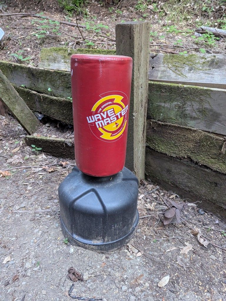 Kick Boxing Punching Bag