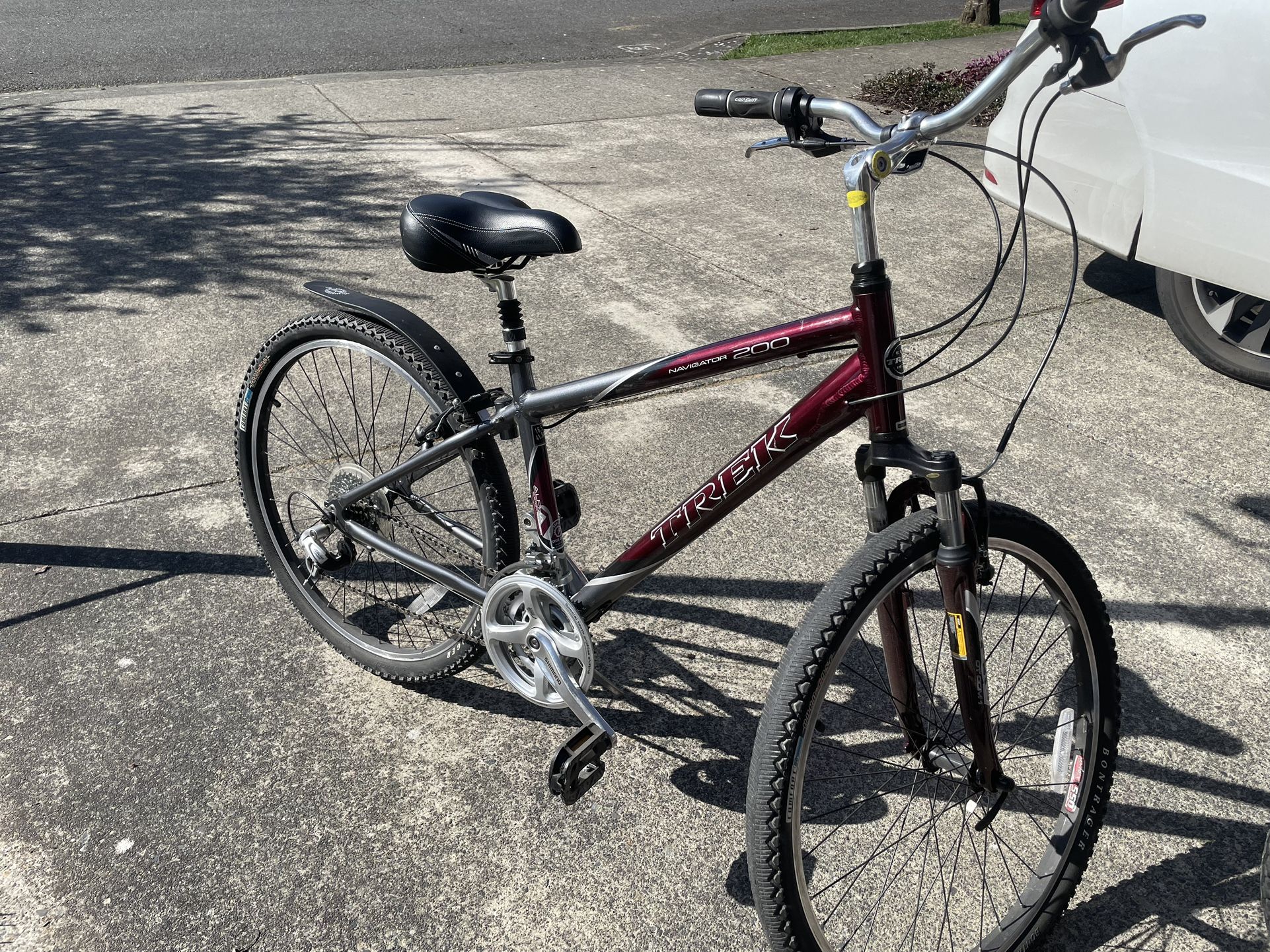 Comfort Bikes (pair)