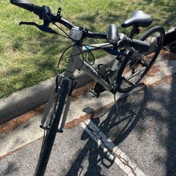 Adult bicycle in good condition. Includes a light and a horn; ready to ride. I am selling it due to a lack of space.