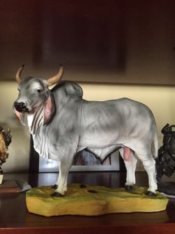 BULL