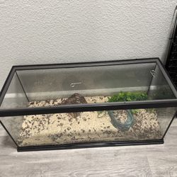 30 Gallon Snake or Reptile Tank & 24” Dog Crate or Kennel