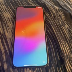 iPhone 12 Pro Max 
