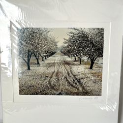 VTG Steve Solinsky Photo Signed ‘89- Central Valley Blossom