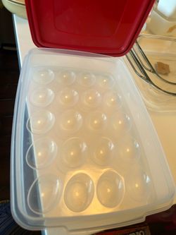 Egg Keeper Tray - Holds 20 Jumbo Eggs
