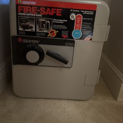 Sentry 1250 Fire And Water Safe