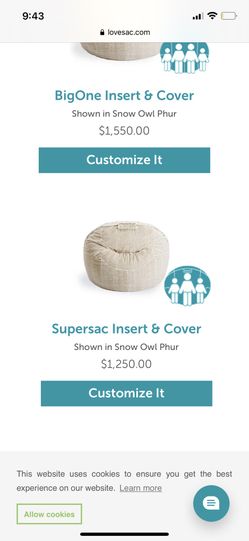 Love Sac Super Sac Couch/ Love Seat 