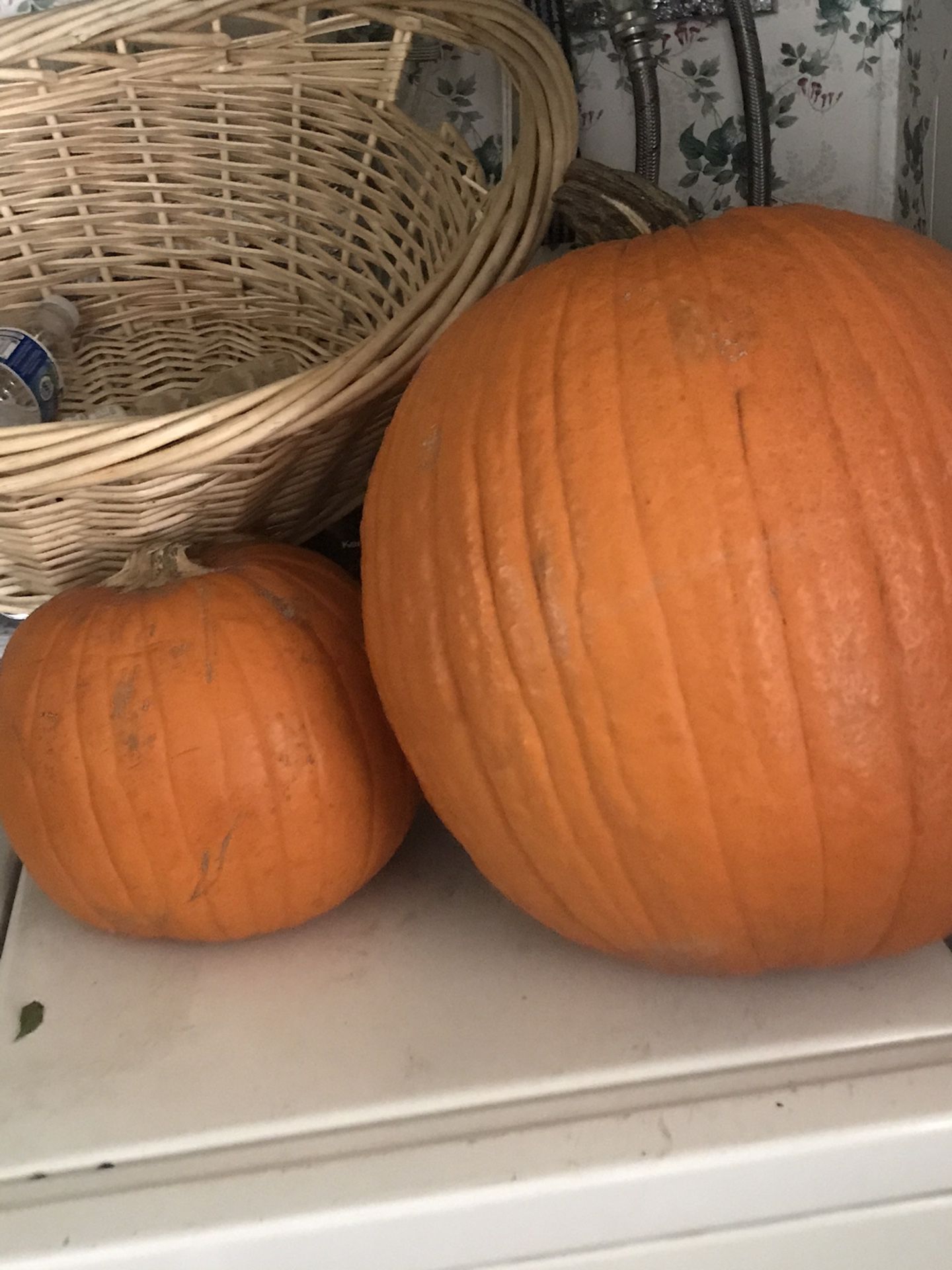 Free 2 🎃 Pumpkins