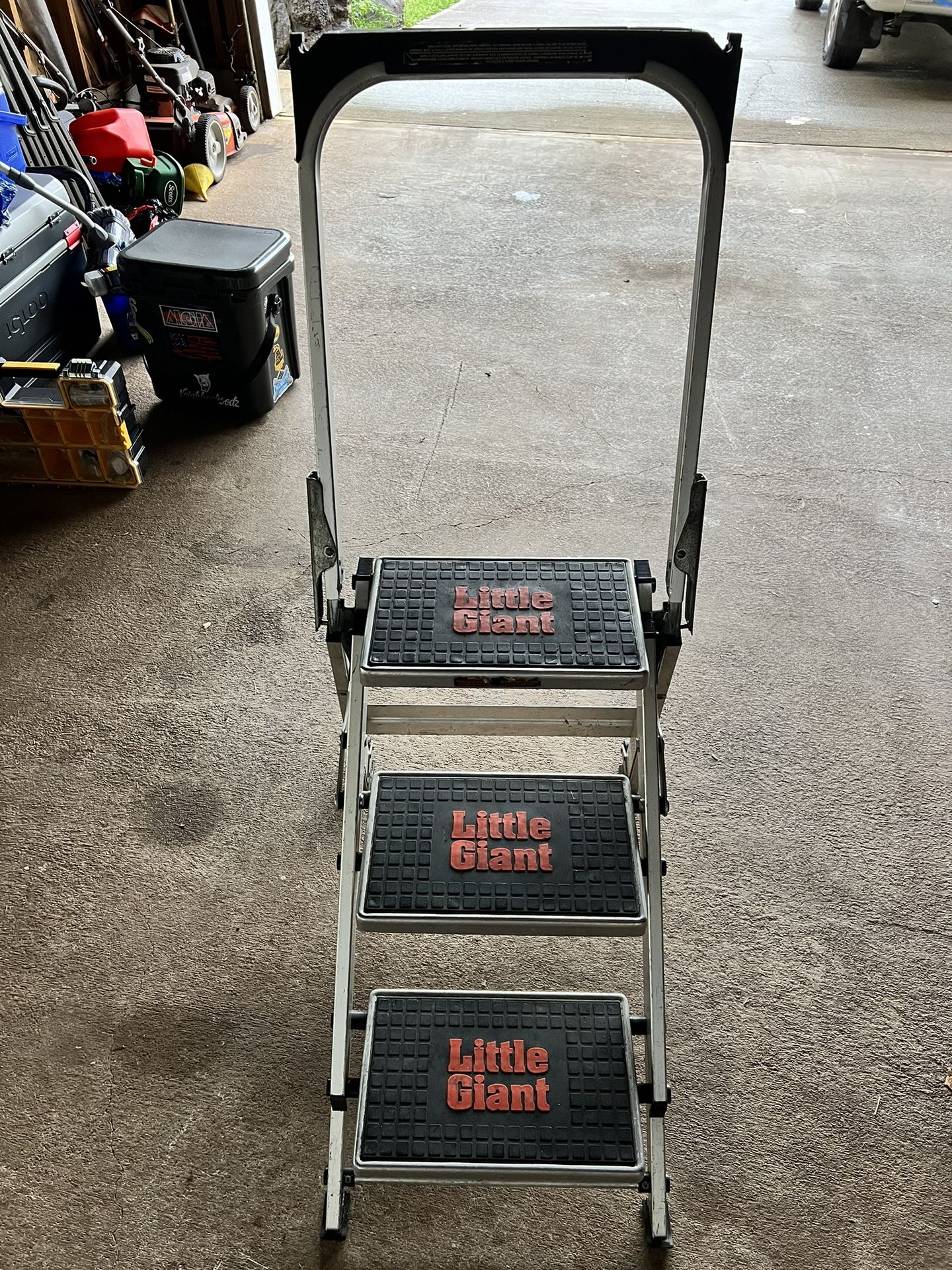 Ladder - Little Giant
