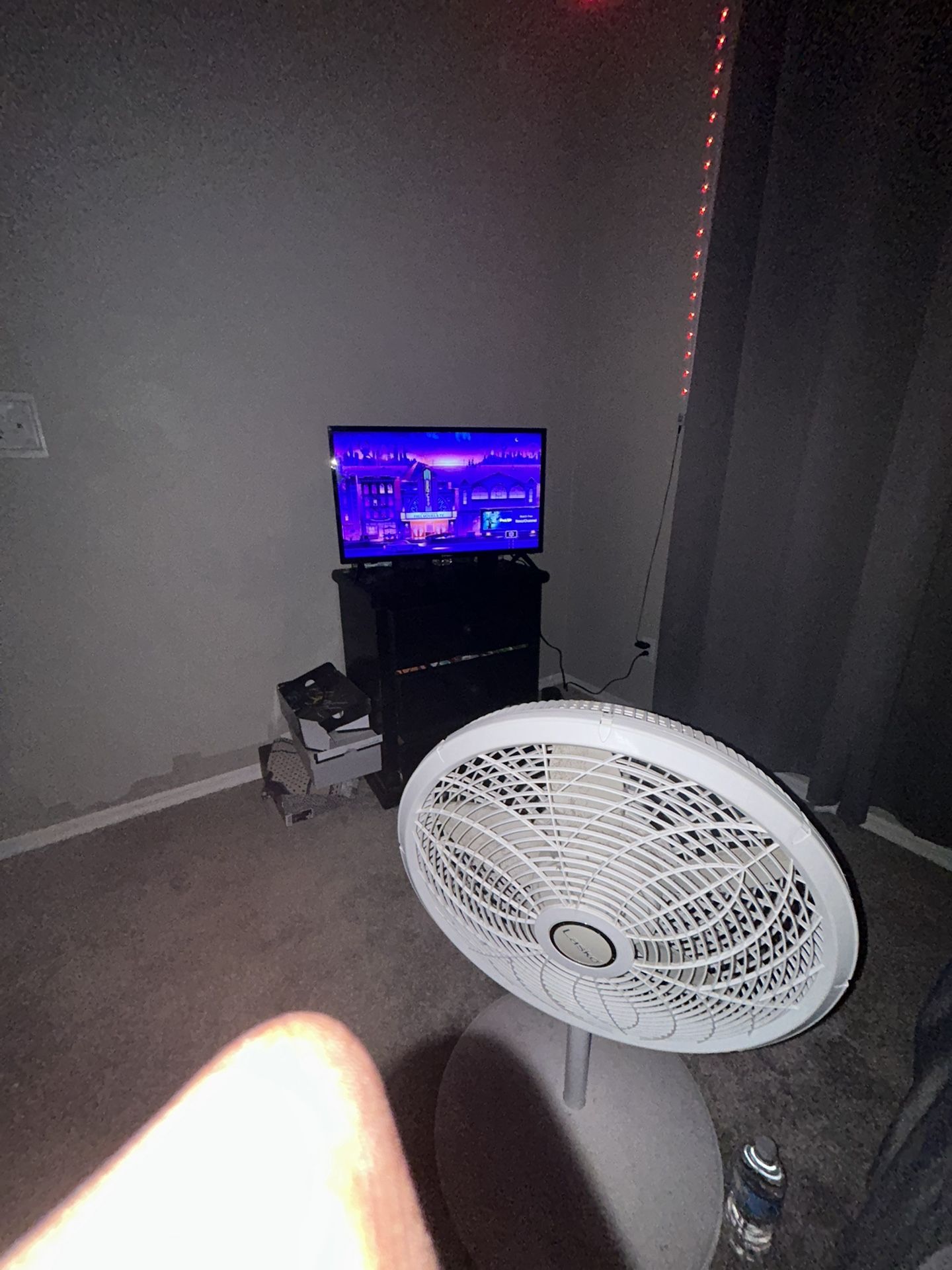 24 Inch Roku Tv 