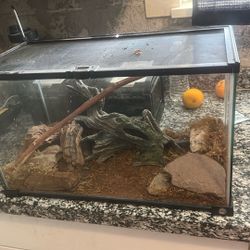 reptile tanks 