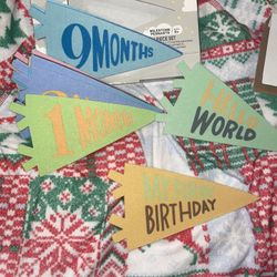 Baby Milestone Pennants New