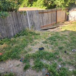Need A Landscaper