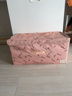 Storage Boxes (two)