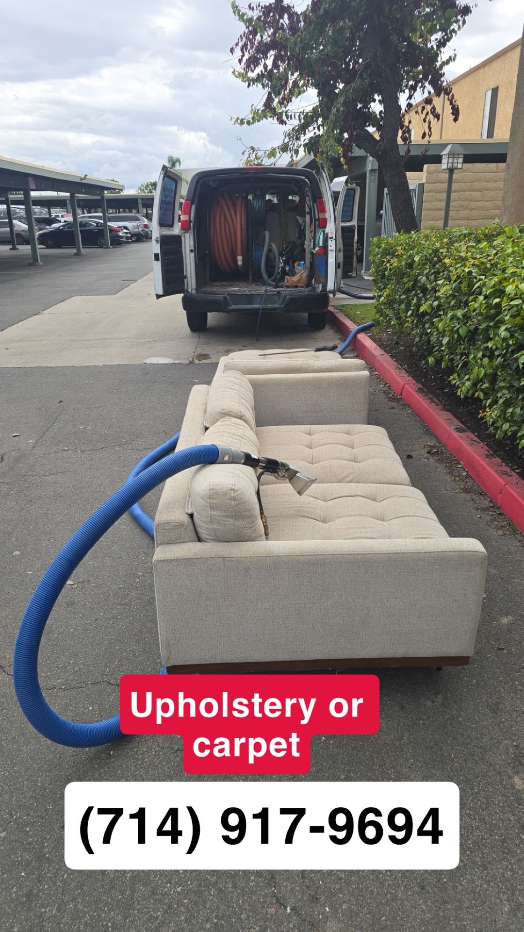 Shampoo Carpet, Upholstery