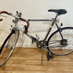 Bike (plus Bike Lock and Helmet)