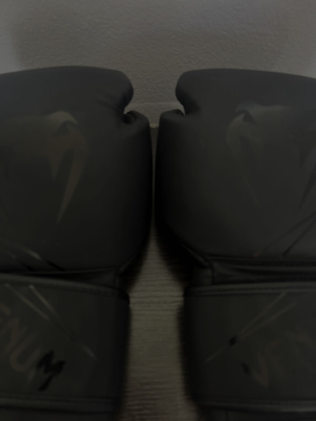Venom boxing gloves