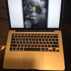 Brand New Ono Owner Me 