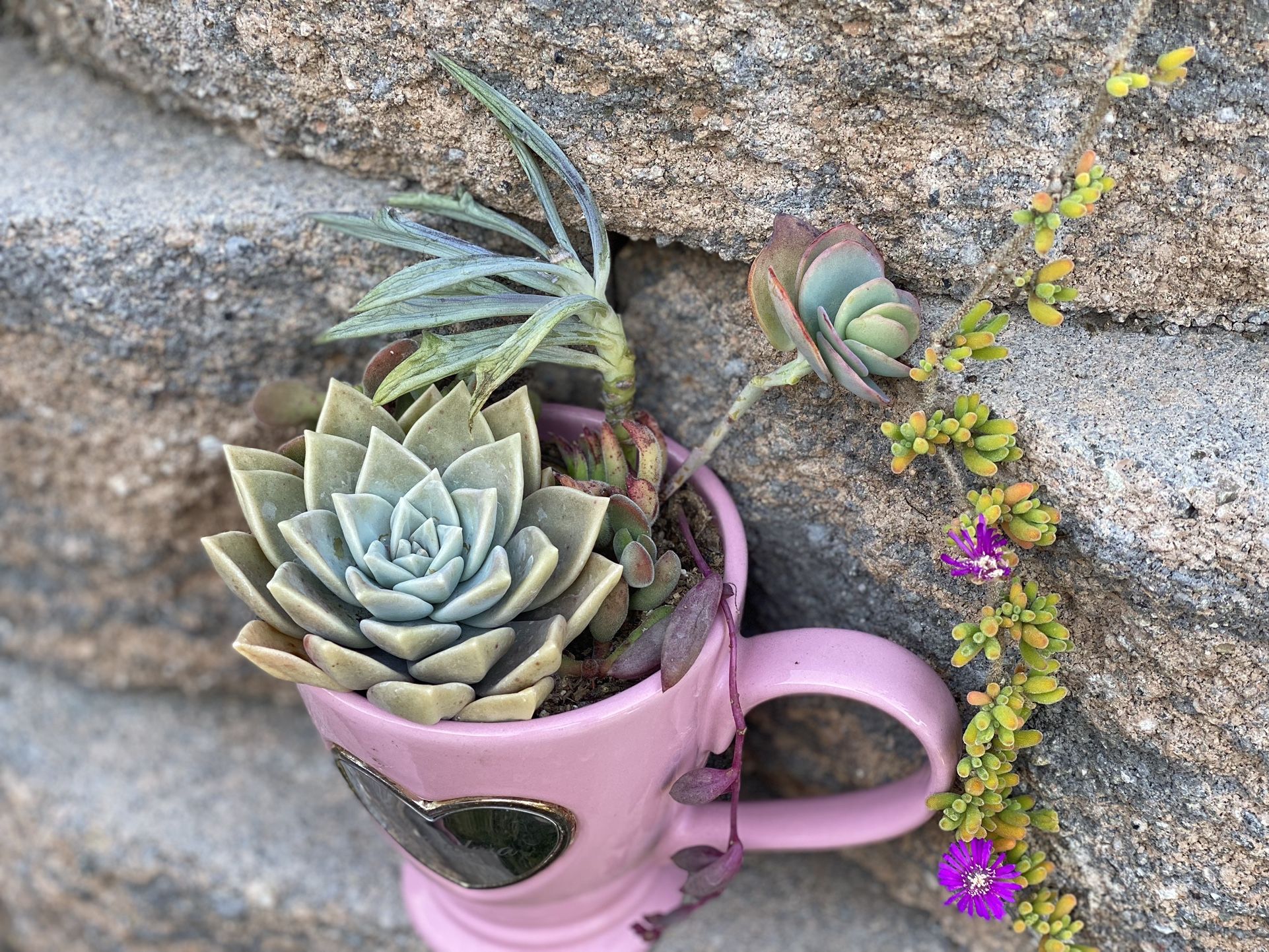 Grandma Heart Succulent Arrangement π