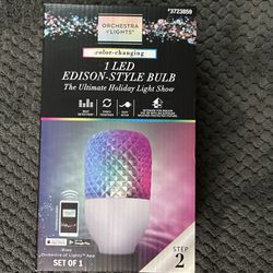 Orchestra of Lights Color Changing LED Edison-Style Lightbulb ~ NEW