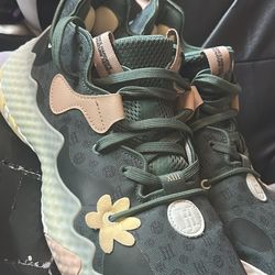 James Harden 6’s (size 11)
