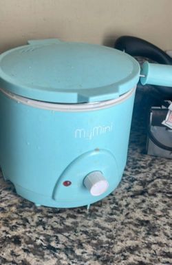 Cute little Mini Fryer