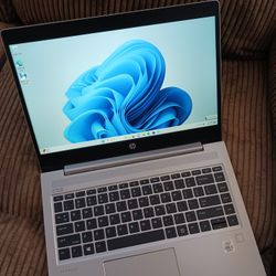 HP ProBook High Grade Laptop Intel Core i5-10210u 8 GB RAM 256 GB SSD 1080P LCD Webcam HDMI Wi-Fi & Bluetooth Wireless Windows 11 Professional 