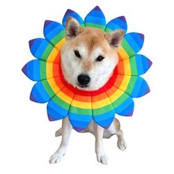 Flower Rainbow Dog Flower Costume Size Large.