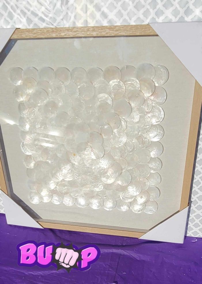 Shell Geometric Handmade Overlapping Shells Shadow Box with Canvas Backing Set of 2 Cream (**NEW**)