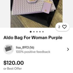 Aldo Purse