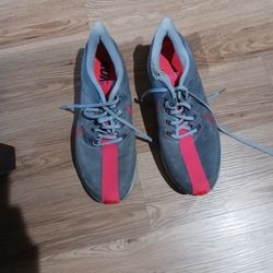 Nike Pegasus