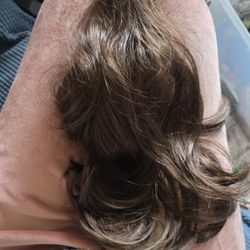 Auburn Brown Pony Tail Clip On Free