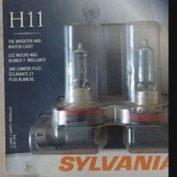H11 Light 
