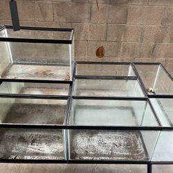 Reptile Tanks 