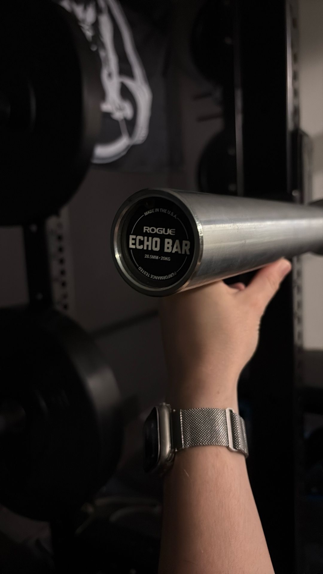 Rogue Echo Bar 2.0