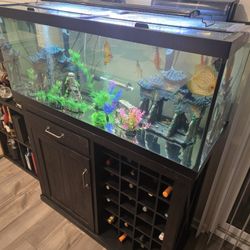 80 Gallon Fish Tank Aquarium 