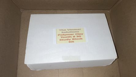 Vinmar Clay DENTAL tooth study block #30