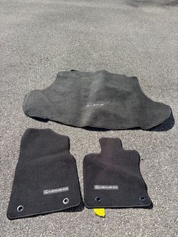 Lexus ES Floor Mats and Trunk Liner