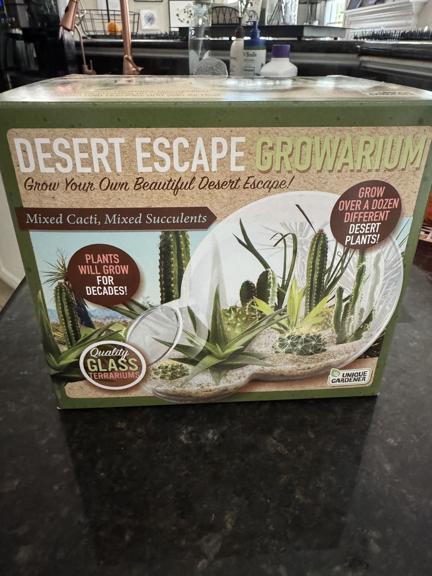 Succulent & Cactus Growarium Kit (Unopened)
